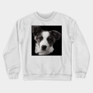 Charly Australian Shepherd Mix Crewneck Sweatshirt